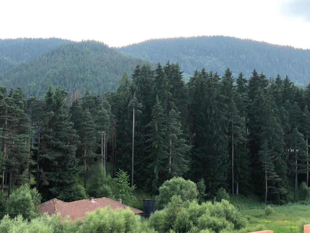 Family Hotel Panorama Sarnitsa Eksteriør bilde